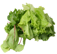 Салат Микс Фрилис/Афицион/Мангольд 500гр коррекс Горкунов