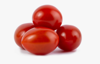 Помидор Сливка