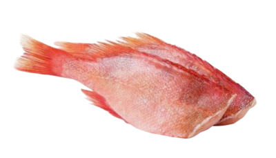 Рыба Окунь Морской с/м кг